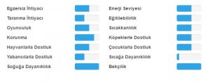 akita egitilebilirlik